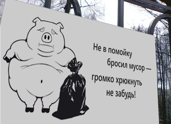 Бросил мусор не забудь хрюкнуть