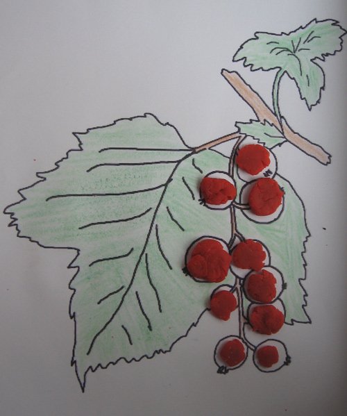 Ветка смородины рисование в старшей группе