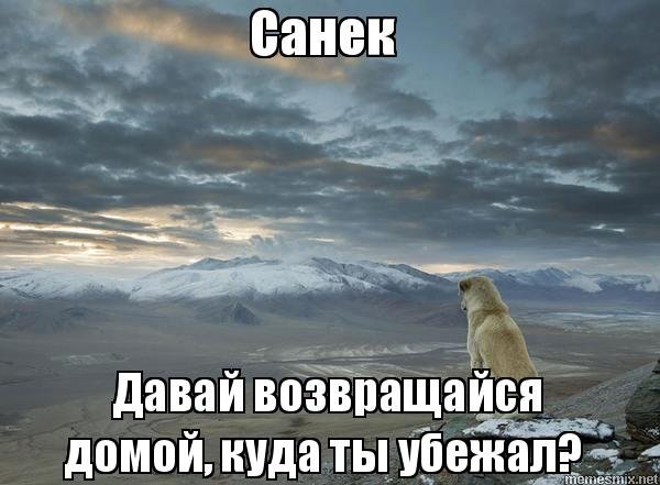 Поскорей возвращайся домой