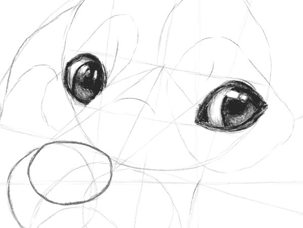 Глаза собаки карандашом