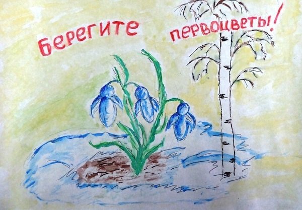 Берегите растения