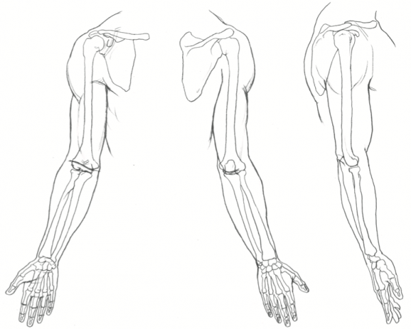 Наброски рук