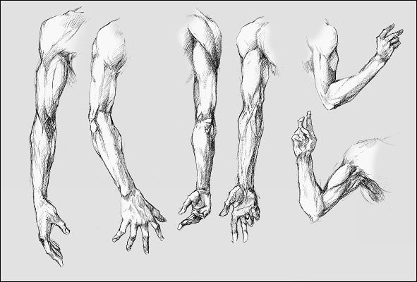 Рука рисунок