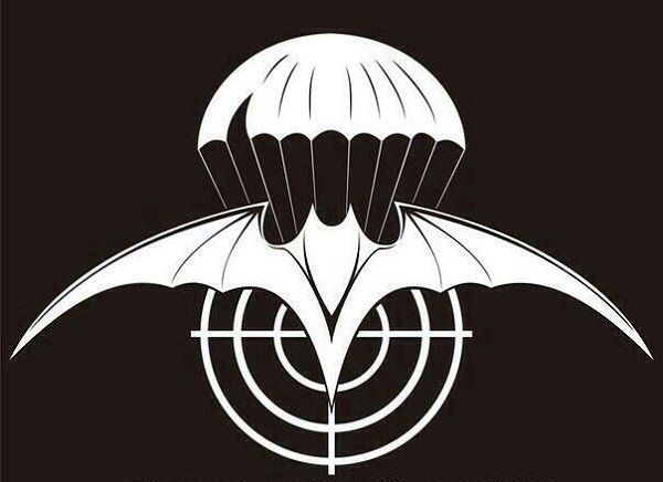 Эмблема разведки