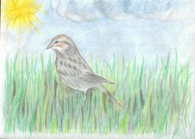 Рисунок к романсу м Глинки Жаворонок