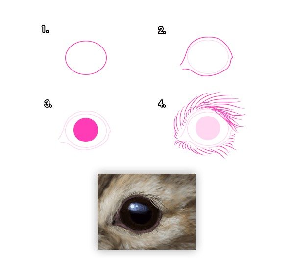 Глаза зайца нарисовать