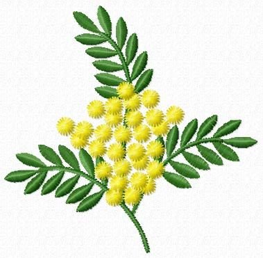 Мимоза рисунок скетч