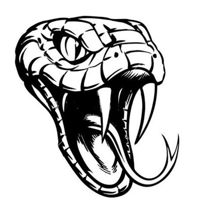 Змея с открытой пастью тату