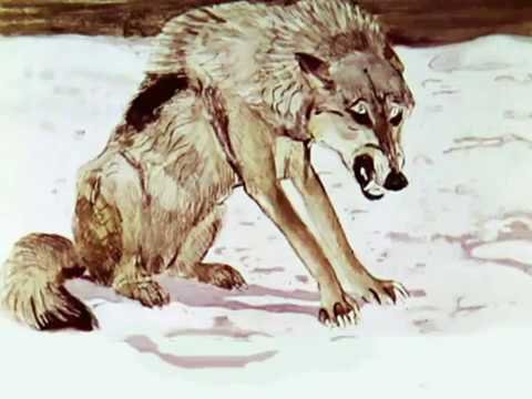 Рисунок белый клык (49 фото)