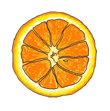 Апельсинки в разрезе Рисованные