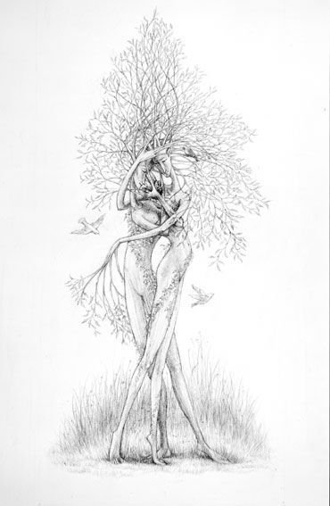 Дерево человек Графика