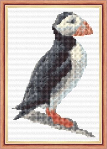 Птица тупик раскраска для детей