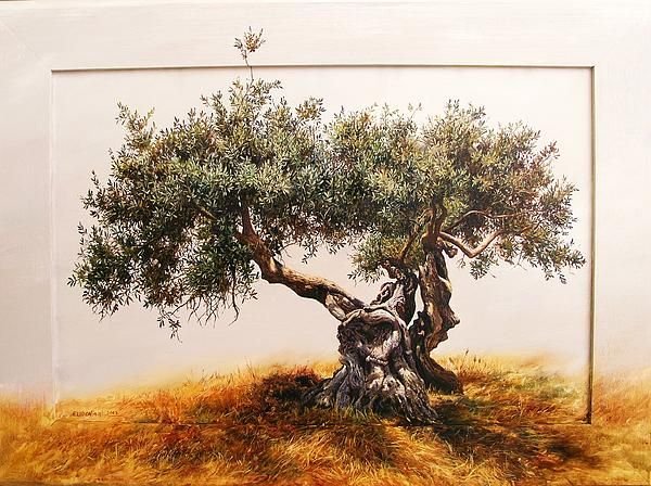 Оливковое дерево живопись