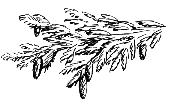 Драгунский Денискины Заколдованная буква