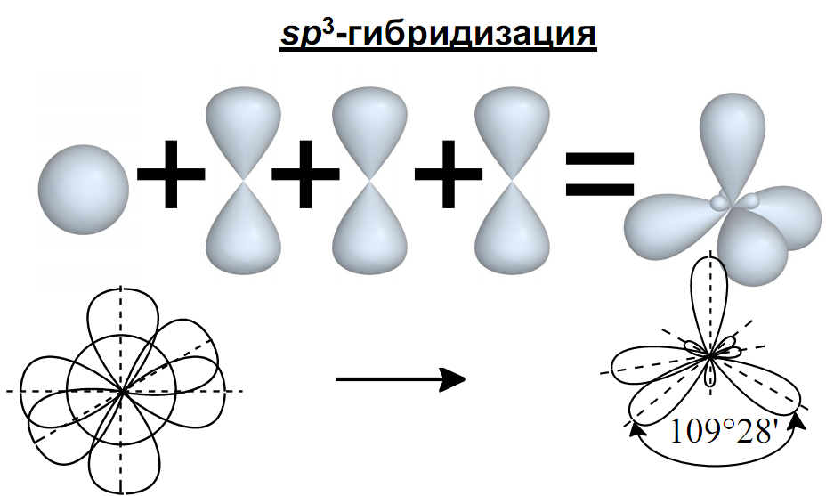 Sp3 sp2 sp гибридизация. SP sp2 sp3 гибридизация. Sp3 гибридизация схема. Sp3 гибридизация аммиака. Гибридизация орбиталей (SP-, sp2 -, sp3 -).