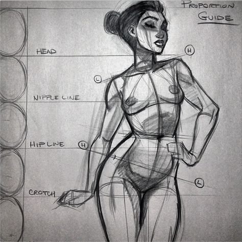 Анатомия женского тела для художников