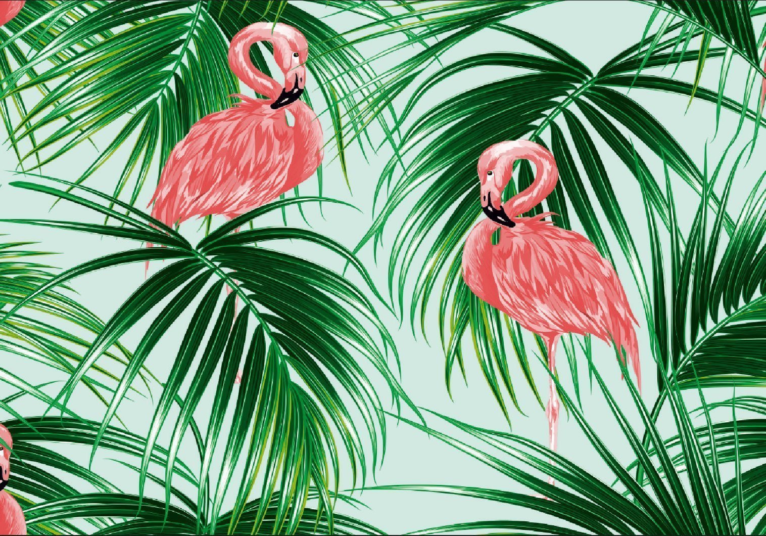 Тропики Фламинго