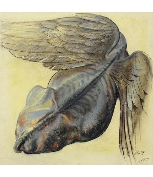 Фон из членов