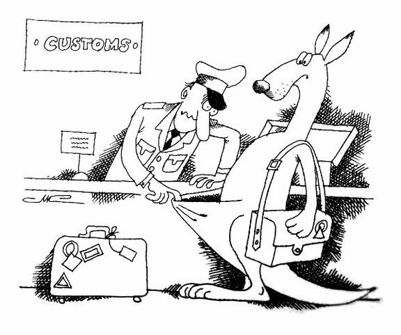 Таможенник арт