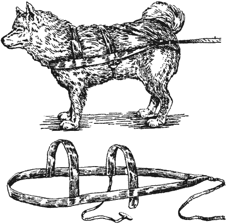 Нарты рисунок (48 фото)