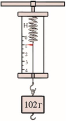 100г в ньютонах динамометр