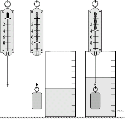 Динамометр (с ценой деления 0,1 Ньютон) кабинет физики