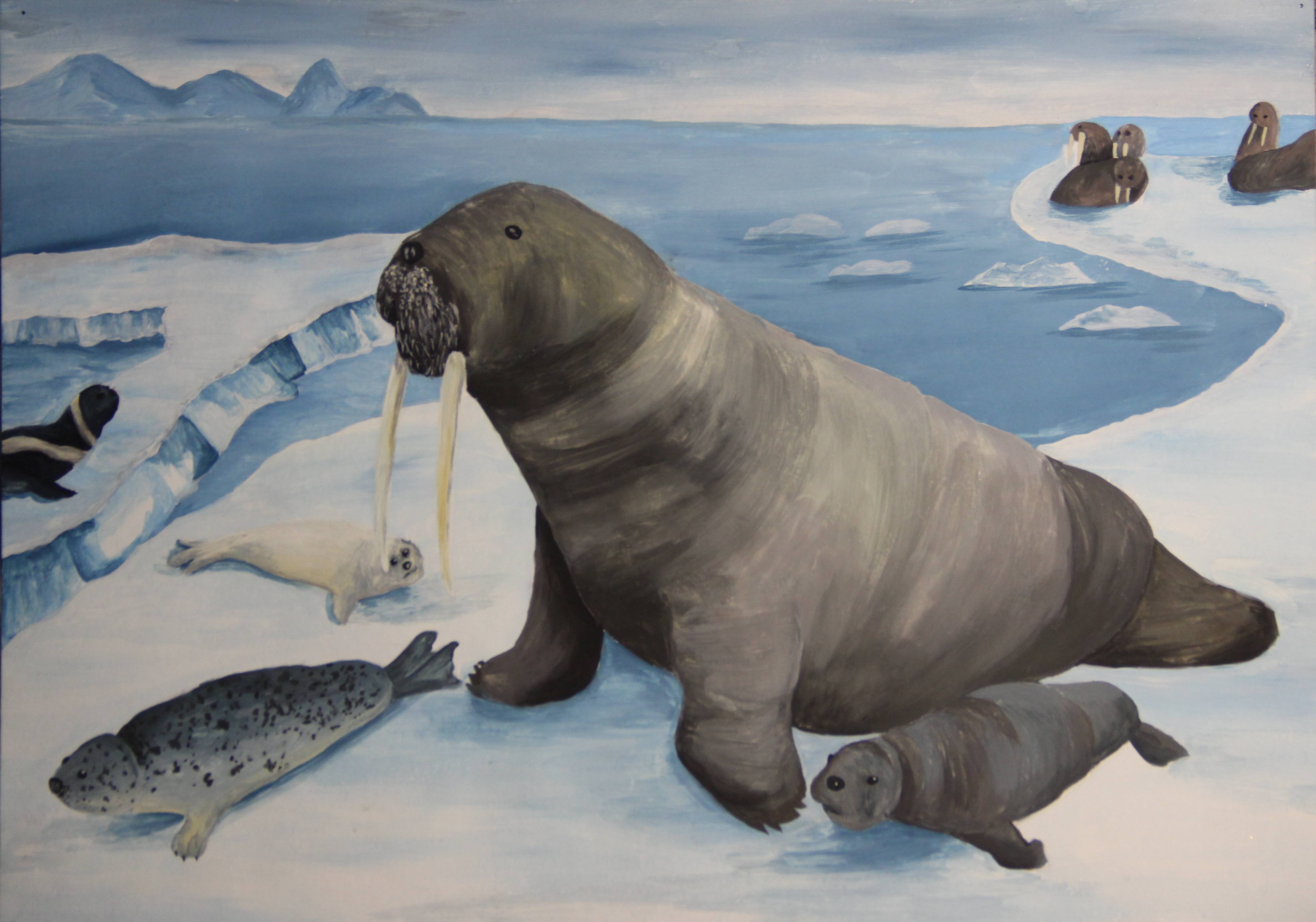 Животные Арктики картинки для детей