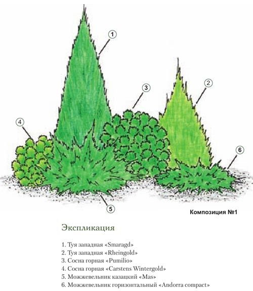 Кипарис вечнозеленый ареал