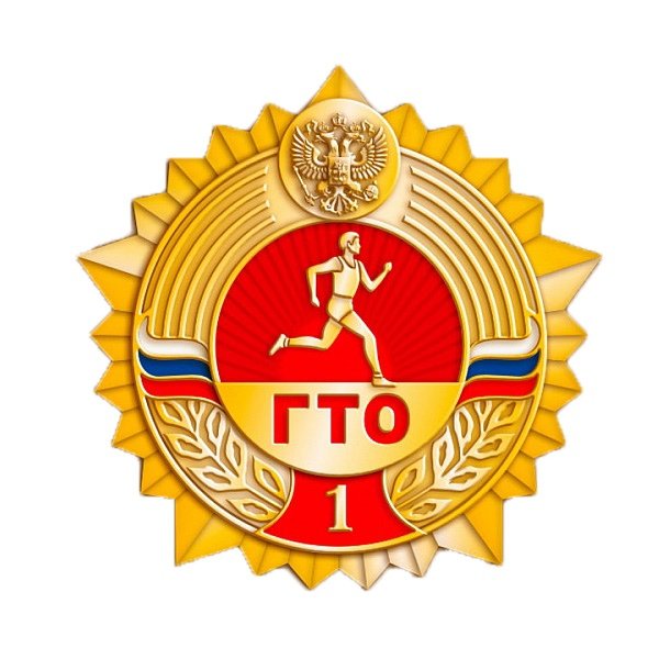 Золотой знак ГТО 1 ступень