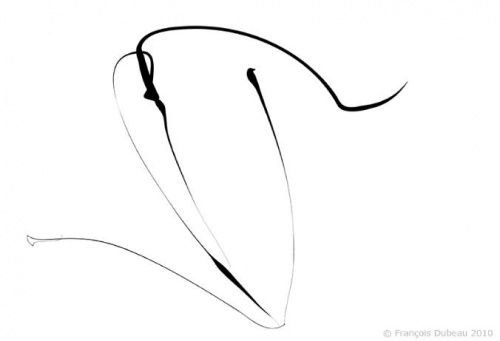 Франсуа Дабо