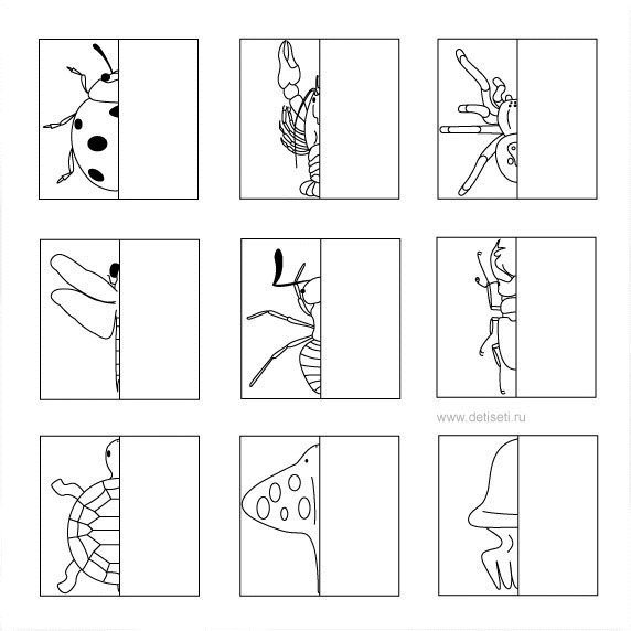 Насекомые дорисуй половинку