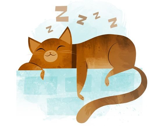 Набросок спящего кота