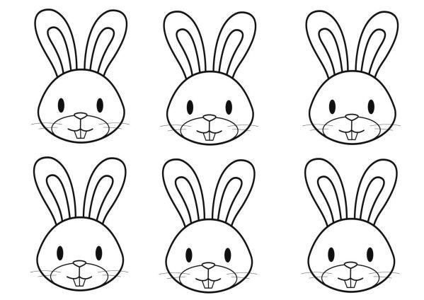 Морда зайчика