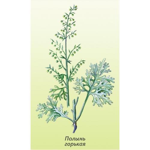 Полынь горькая вектор