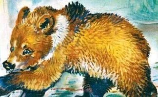 Медведко мамин Сибиряк иллюстрации