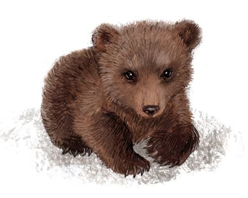 Медведко мамин Сибиряк