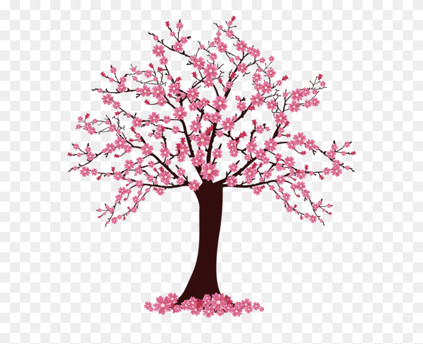 Цветущее дерево. Сакура дерево. Весеннее дерево. Розовое дерево. Розовое дерево без листьев