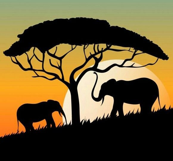 Силуэт африканского дерева
