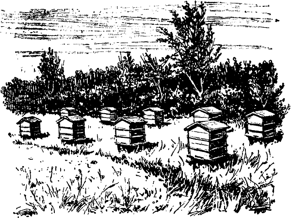 Пасека Векторная иллюстрация