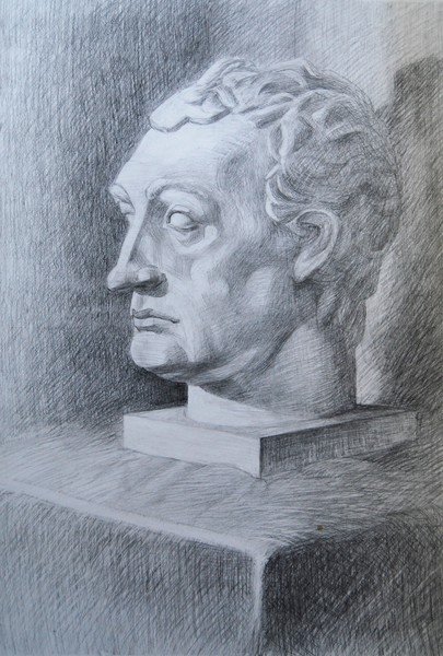 Гаттамелата гипсовая голова Академический рисунок