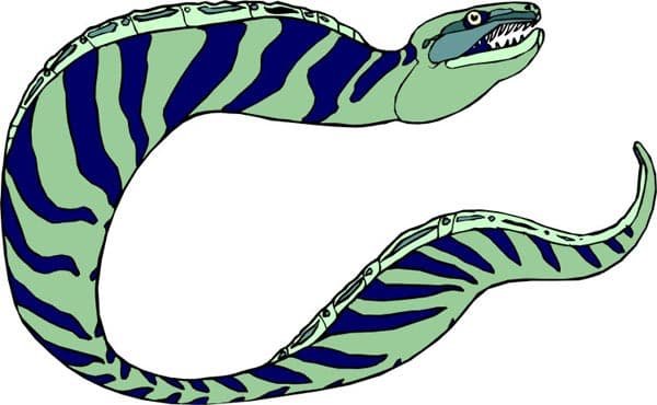 Мурена трафарет