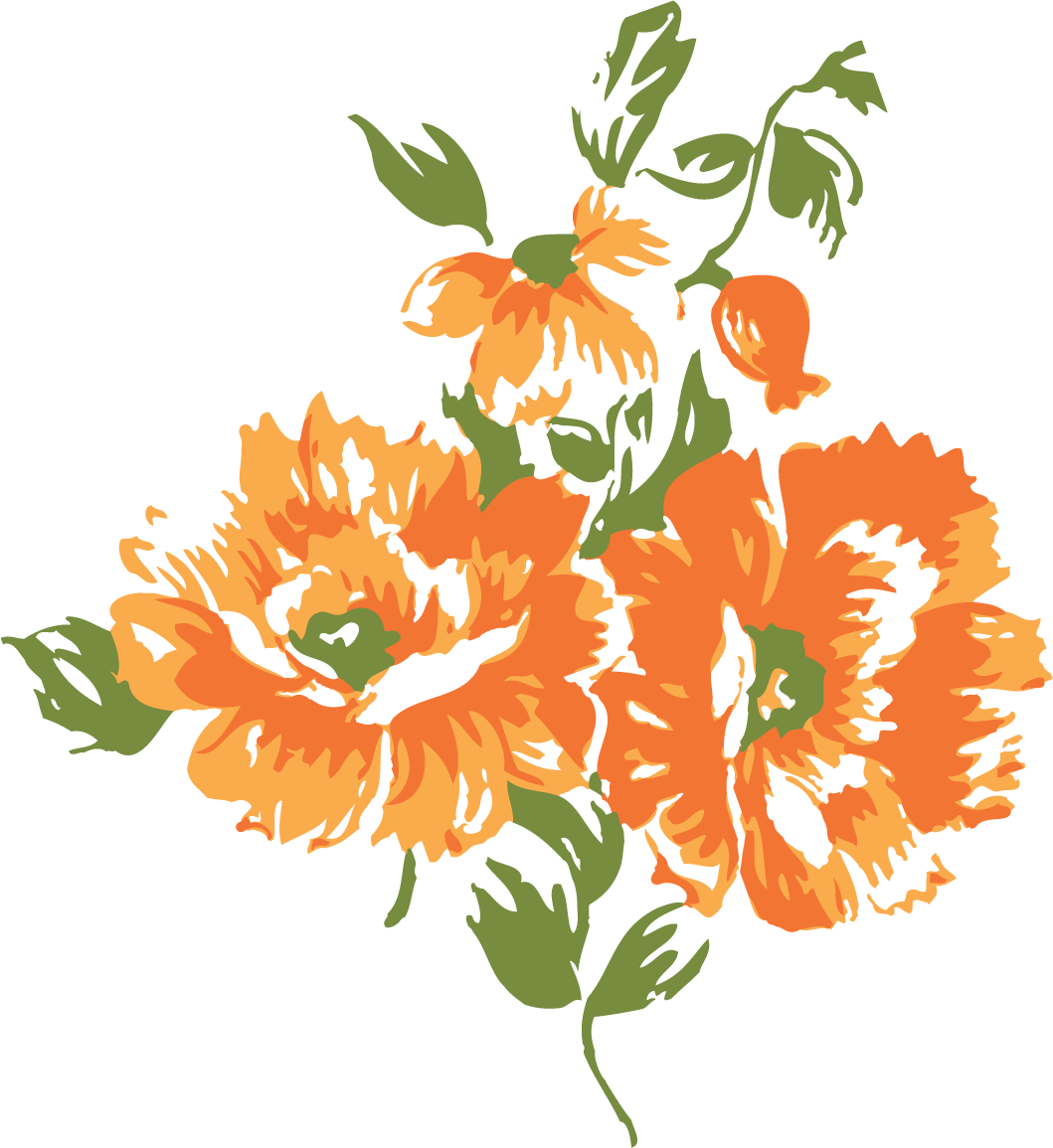 Оранжевые цветы. Оранжевые цветы на белом фоне. Оранжевые цветы на прозрачном фоне. Огоньки цветы.