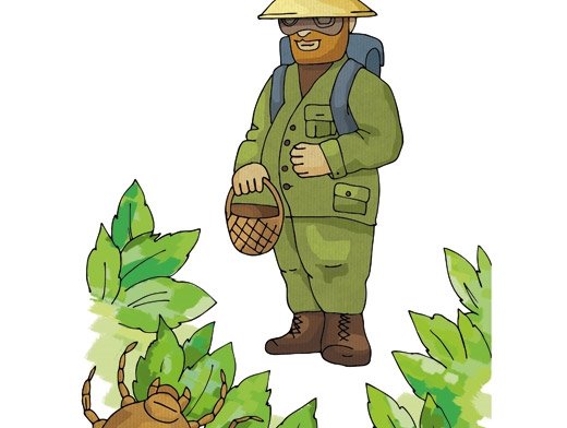 Лесник рисунок