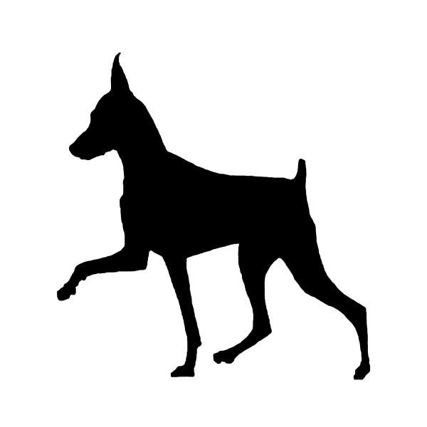 Силуэт добермана пинчера