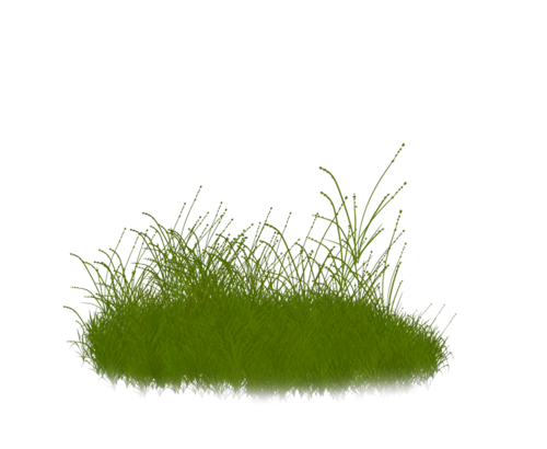 Кочки для детей