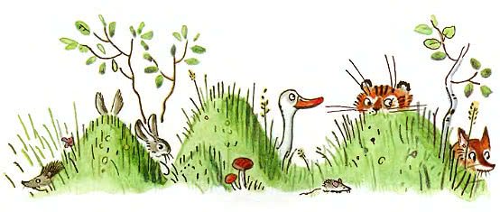 Болотная кочка на прозрачном фоне