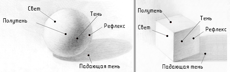 Свет тень полутень рефлекс блик в рисунке
