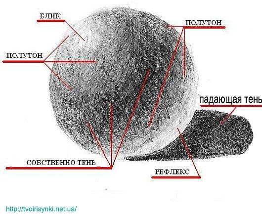 Свет полутон тень рефлекс