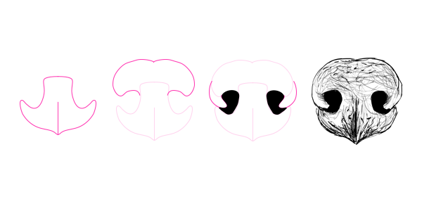 Собачий нос