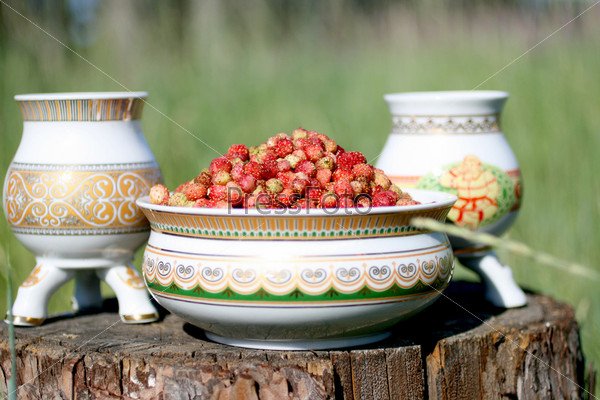 Марина мисочка Лесной